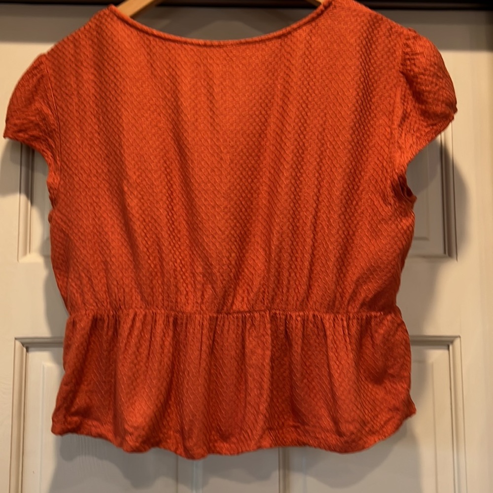 Roxy Rust Color Deep V Cropped Top - image 6